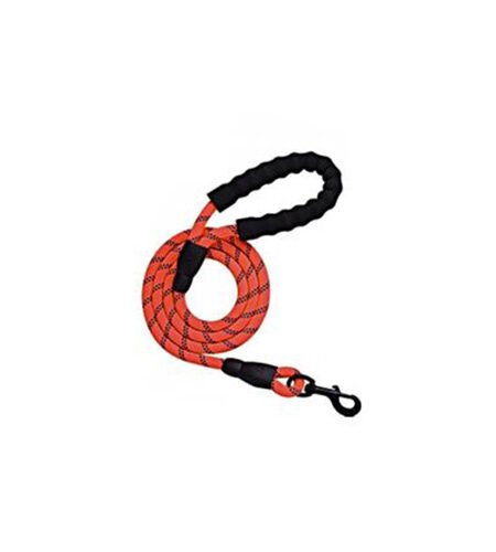 Dog Leash