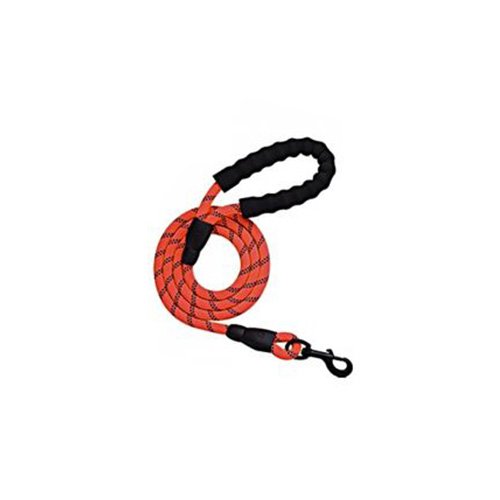 Dog Leash